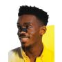 Lumin Charcoal Pore Declogging Nose Strips (15 Pack)